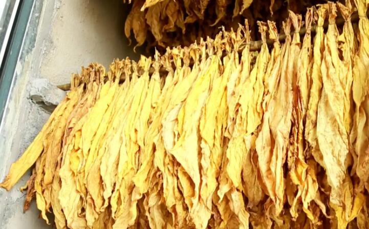 生物質(zhì)顆粒機(jī)加工的顆?？緹? style=